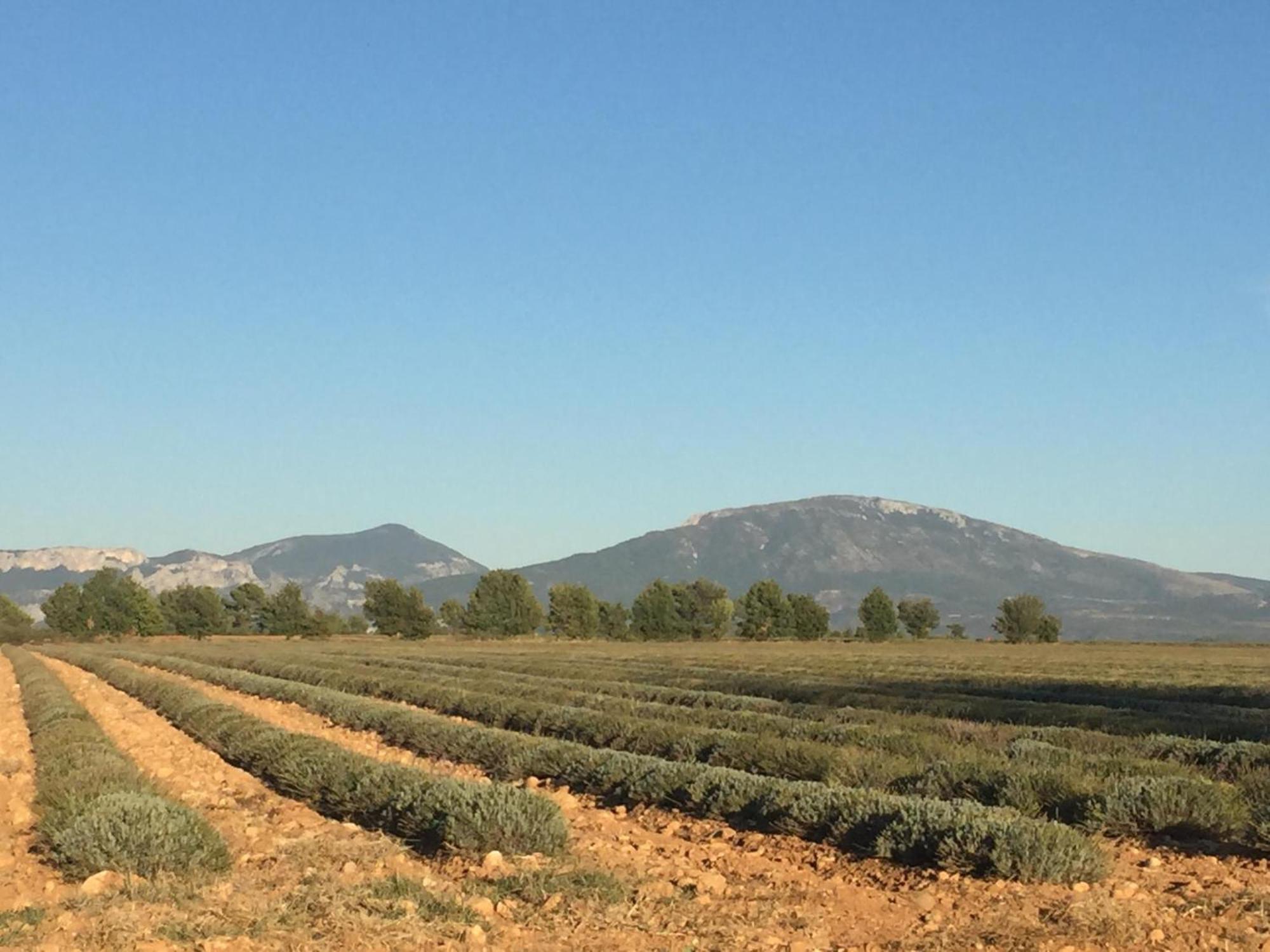 La Sarrazine Villa Les Mées Esterno foto